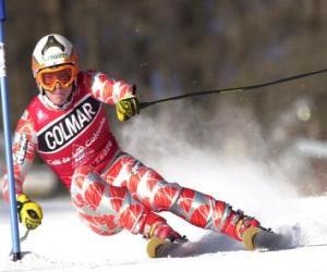 A skier in slalom competition puzzle