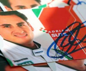 Adrian Sutil - Force India - Hungarian Grand Prix 2010 puzzle