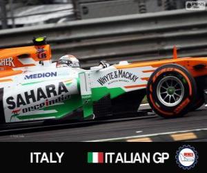 Adrian Sutil - Force India - Monza, 2013 puzzle