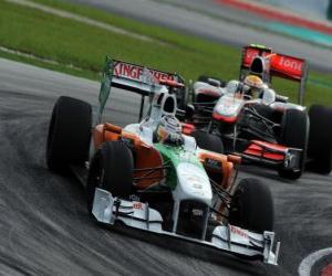 Adrian Sutil, Sepang 2010 puzzle