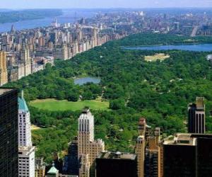 Aerial view of Central Park, New York puzzle