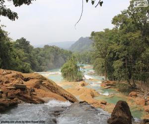 Agua Azul cascades, Mexico puzzle