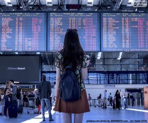 Airport information pane puzzle