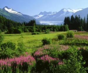 Alaska in summer landscape puzzle