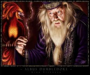 Albus Dumbledore is the most powerful magician of the whole saga puzzle