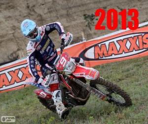 Alex Salvini world champion of enduro 2013 puzzle