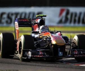 Alguersuari - Toro Rosso - Suzuka 2010 puzzle