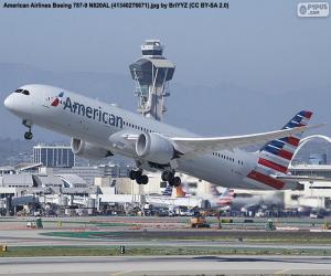 American Airlines puzzle