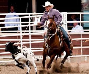 American Rodeo puzzle