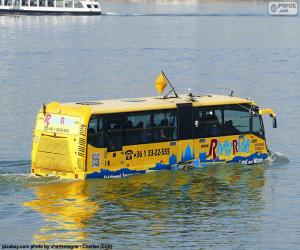 Amphibious bus puzzle