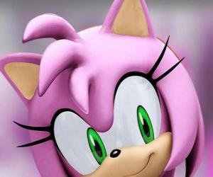 Amy Rose is a pink hedgehog with green eyes, is madly in love with Sonic puzzle