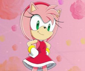 Amy Rose, the hedgehog female that claims to be the girlfriend of Sonic puzzle
