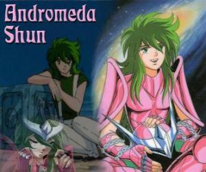 Andromeda Shun, the Bronze Saint from Andromeda's constellation puzzle
