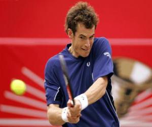 Andy Murray ready for a coup puzzle
