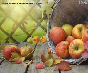 Apples in Autumn puzzle