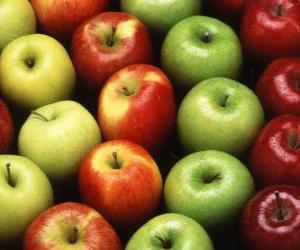 Apples of various types puzzle