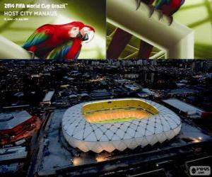 Arena Amazônia (50,000), Manaus puzzle