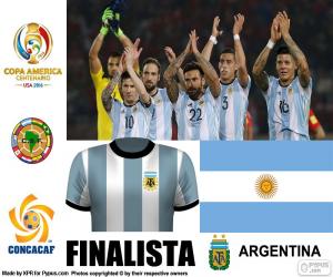 ARG finalist, Copa America 2016 puzzle