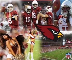 Arizona Cardinals puzzle