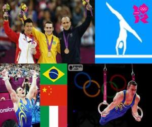 Artistic gymnastics rings London 2012 puzzle