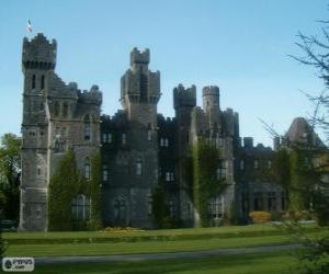 Ashford Castle, Ireland puzzle