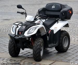 ATV or quad puzzle