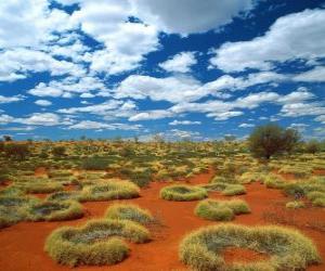 Australian outback puzzle
