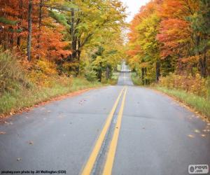 Autumn road puzzle