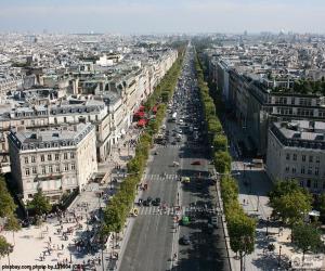Avenue des Champs-Élysée, Paris puzzle