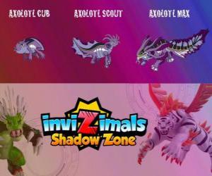 Axolotl Cub, Axolotl Scout, Axolotl Max. Invizimals Shadow Zone. One of the most intelligent Invizimals was the fortune teller of the Maya puzzle