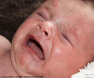 Baby crying puzzle