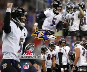 Baltimore Ravens the 2012 AFC champion puzzle