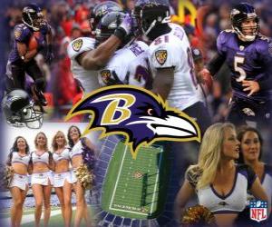 Baltimore Ravens puzzle