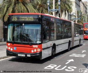 Barcelona's urban bus puzzle