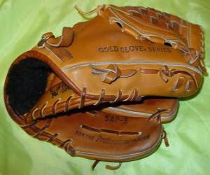 Baseball glove puzzle