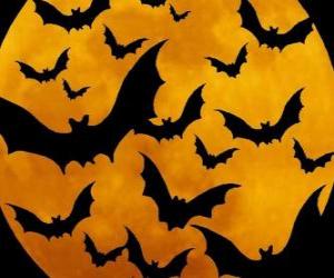 Bats for the celebration of Halloween puzzle