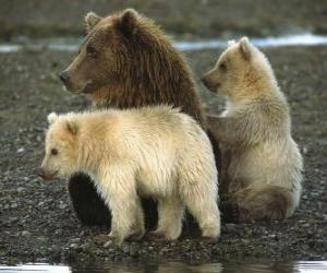 Bear Family puzzle