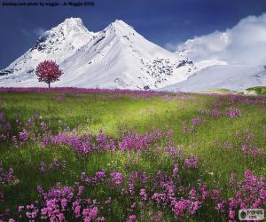 Beautiful scenery of the Alps puzzle