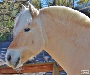 Beige horse head puzzle