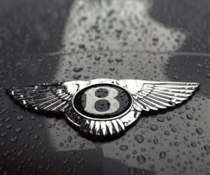 Bentley logo, British car manufacturer puzzle