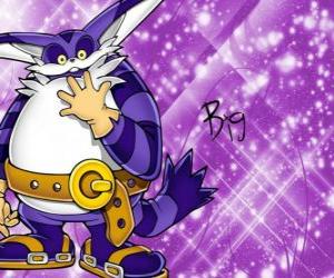 Big the Cat, the large cat who appears in the adventures of Sonic puzzle