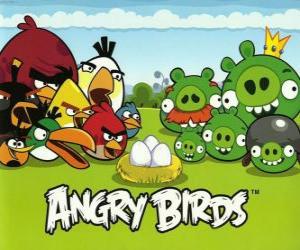 Birds, eggs, and green pigs in Angry Birds puzzle