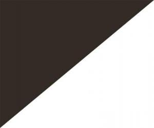 Black and white diagonal flag to caution a driver for unsporting behavior puzzle