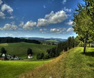 Black Forest Landscape puzzle