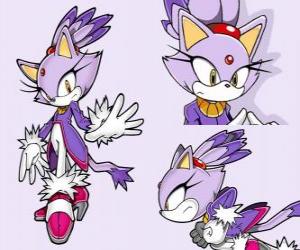 Blaze the Cat, a princess and one of the Sonic friends puzzle