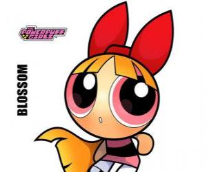 Blossom is the leader of the group and the most intelligent puzzle