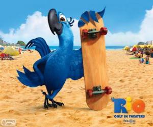 Blu is a fun macaw and the main protagonist of the film Rio puzzle