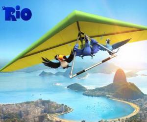 Blu macaw, toucan Rafael Jewel and a hang glider flying over the city of Rio de Janeiro puzzle