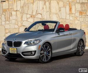 BMW 2 series Convertible 2015 puzzle