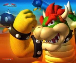 Bowser or King Koopa, the main enemy in Mario's games puzzle